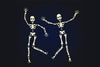 Activities-to-Go: Human Body (Bones) 