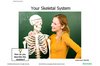 Activities-to-Go: Human Body (Bones)